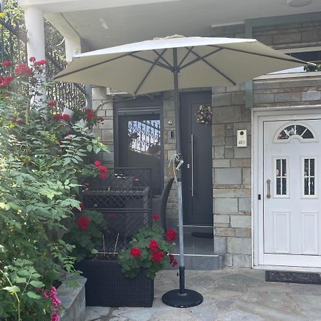 Home Of Olympos Studio Литокорон Екстериор снимка