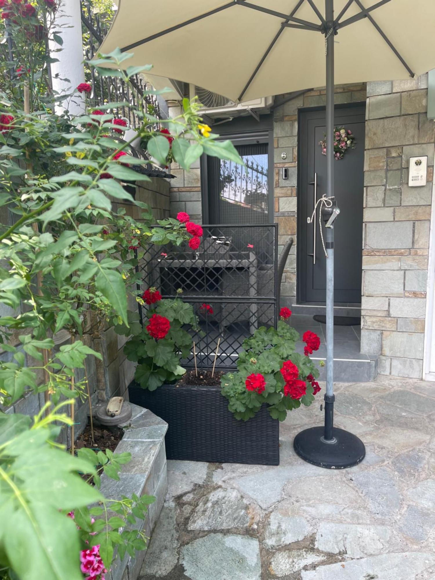 Home Of Olympos Studio Литокорон Екстериор снимка